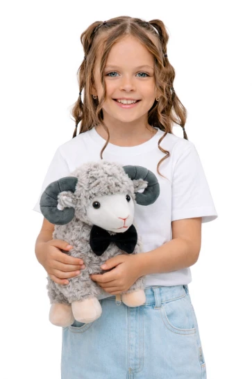 Упаковка "Дружок" мягкая игрушка фото 5